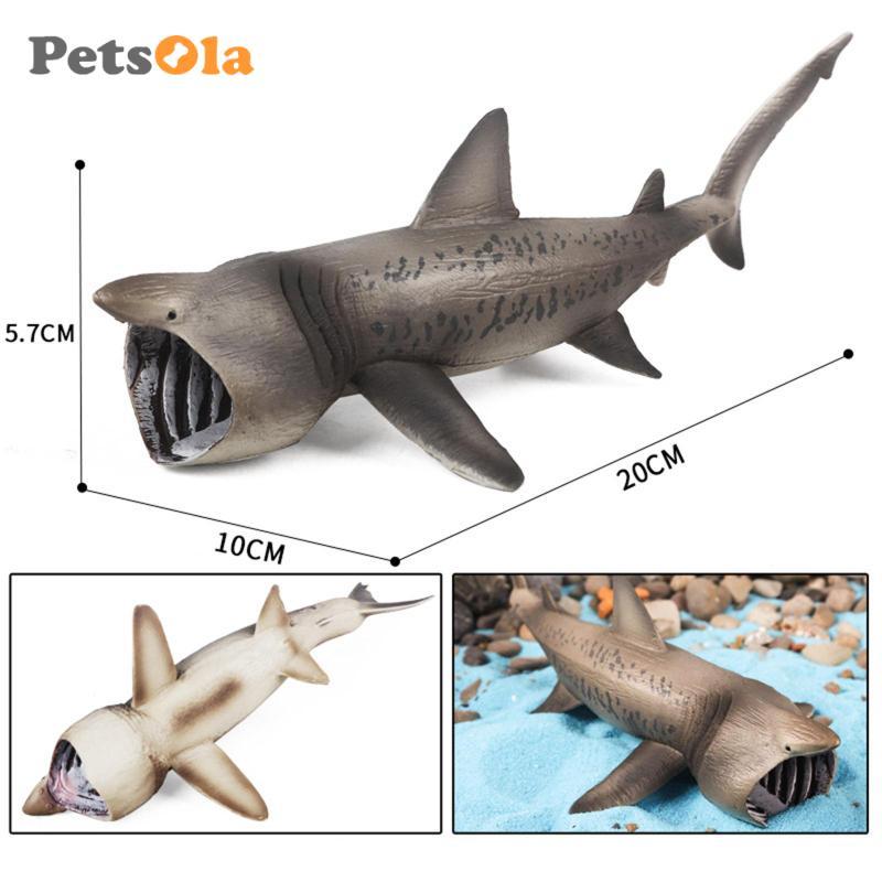 Basking Shark Mô Hình Bộ Sưu Tập Mô Hình Playset Giáo Dục Đồ Chơi Học Tập Sinh Vật Nhân Vật Bộ Sưu Tập Chơi Giảng Dạy