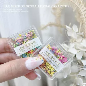 Nhật Bản Pháp Hoa Khô Phụ Kiện Làm Móng Tay Đầy Màu Sắc Nguyên Chất Tự Nhiên Hoa Nhỏ Cánh Hoa Khô Móng Tay