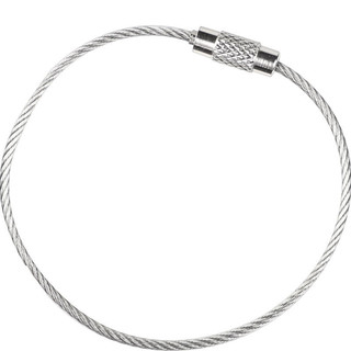 15cm 304 Dây Thép Không Gỉ Dây Móc Khóa Carabiner Kết Nối Dây Còn Hàng Bán Buôn