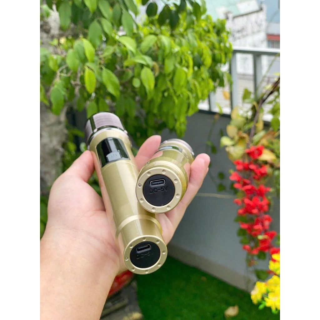 Loa Kraoke Gia đình S10 Plus  2 Micro Hát Nhẹ Vang Sâu Tích Hợp Pin Sạc Bass 30 Công Suất 450W