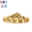 Chất liệu thép không gỉ 304 Đầu tròn bên trong Torx Vít chống trộm Đầu đĩa Bu lông Titan Xe máy Vít sửa đổi