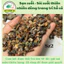 ( .. Sạn Suối - Sỏi suối thiên nhiên Trải Nền Trang Trí Bể Cá Thuỷ Sinh, Bán Cạn, BIOTOP . )