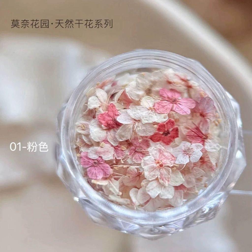 Làm Móng Tay Hoa Khô Chất Liệu Hỗn Hợp Monet Garden Mini Năm Cánh Chất Liệu Hoa Tím Nhỏ Hoa Tự Làm Móng Tay Trang Sức