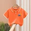 Áo Sơ Mi Polo Trẻ Em Tay Ngắn Bé Trai Ve Áo Tee Thường Ngày Mùa Hè Nhẹ Mặc Hàng Ngày Quần Áo