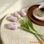 1 Thân hoa Tulip 3D nhân tạo Cây hoa Tulip giả thực tế Trang trí bình hoa cho vòng hoa thủ công DIY Trang trí ngày lễ tại nhà