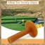 3 Piece Golf Tee Coffee Tee Phạm vi lái xe 60 / 70 / 80 mm