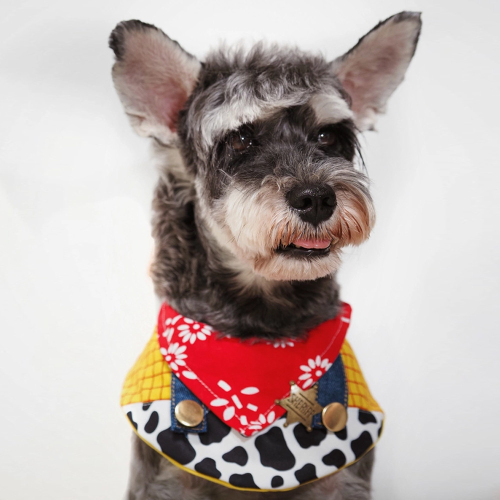 [Pet-Eleven] Yếm Mèo Hoạt Hình Yếm Chó Dễ Thương Phong Cách Denim Đẹp Trai Thoáng Mát Dễ Thương Nước Bọt Khăn Trang Trí Thú Cưng Chó Nhỏ