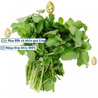 Hạt giống rau cải xoong, Xà lách xoong trồng cạn giàu dinh dưỡng，k016，Trung Quốc nhập khẩu