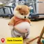 TRTR 1 / 5 Cái 3D Chó Con Dễ Thương Stier Bóp Shiba Inu Stier Tủ Lạnh Trang Trí Tường Silicon Tự Dính Stier VN