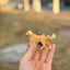 Sile Golden Retriever Pet Puppy Dog Farm Animal Model Children 's Toy Tour Retriever