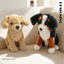LON Dễ Thương Mềm Mô Phỏng Husky Golden Retriever Lớn Hơn Shepherd Boone Bulldog Sang Trọng Búp Bê Cho Bé Trai Ngồi Tư Thế Trẻ Em Bạn Gái Quà Tặng Sinh Nhật Chó Plushie Gối Động Vật