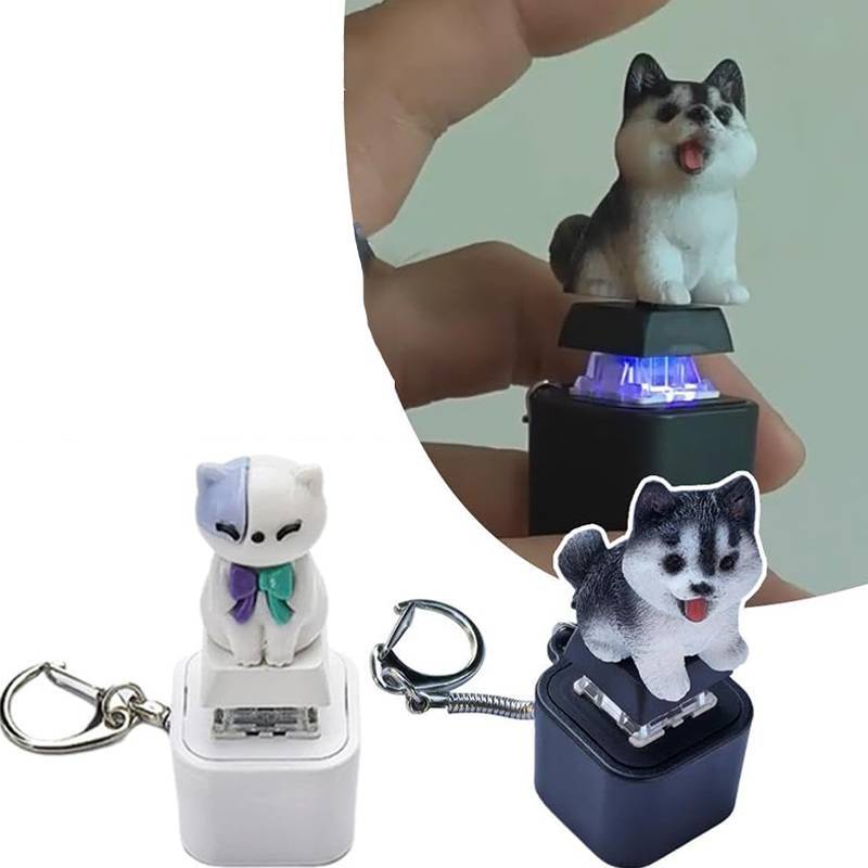 < WHPHous-t > Móc khóa bàn phím Fidget, Đồ chơi mèo Fidget có thể làm cho mèo Móc khóa âm thanh, Giảm căng thẳng có thể sạc lại bằng đèn đẹp