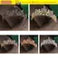 CORALTIDE Kim Cương Giả Tóc Vòng Mũ Thanh Lịch Cô Dâu Pha Lê Tóc Đồ Trang Trí Ngọc Trai Tiara Trang Sức Cưới Cô Dâu Kẹp Tóc Lược Tóc