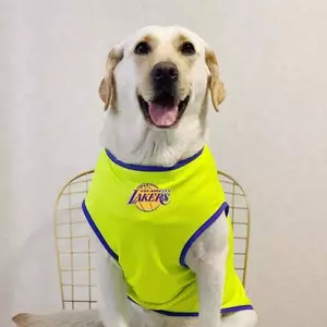 【Ready Stock】 Dog Clothes Large Dog Spring and Summer Thin Clothes Golden Retriever Labrador Husky Vest Breathable Mesh Clothing A5dP