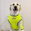 【Ready Stock】 Dog Clothes Large Dog Spring and Summer Thin Clothes Golden Retriever Labrador Husky Vest Breathable Mesh Clothing A5dP