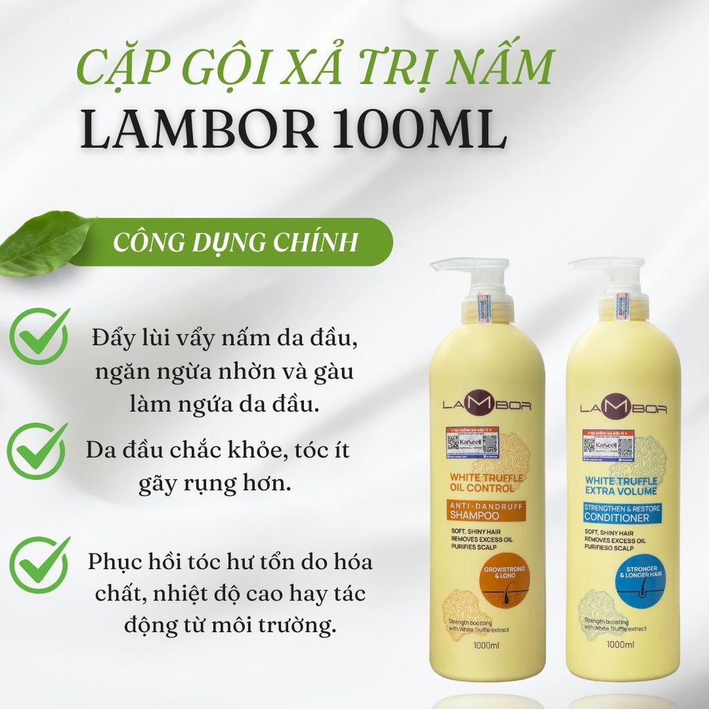 Cặp Dầu Gội Xả LAMBOR VÀNG 1000ml – Phục Hồi Tóc Hư Tổn, Sạch Gàu, Kiềm Dầu & Ngăn Gãy Rụng