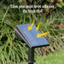 Đèn LED Solar Spotlight, Đèn Cắm Cỏ Chống Nước IP65,Trắng/Vàng/Màu, Đèn Trang Trí Sân Vườn Ngoài Trời