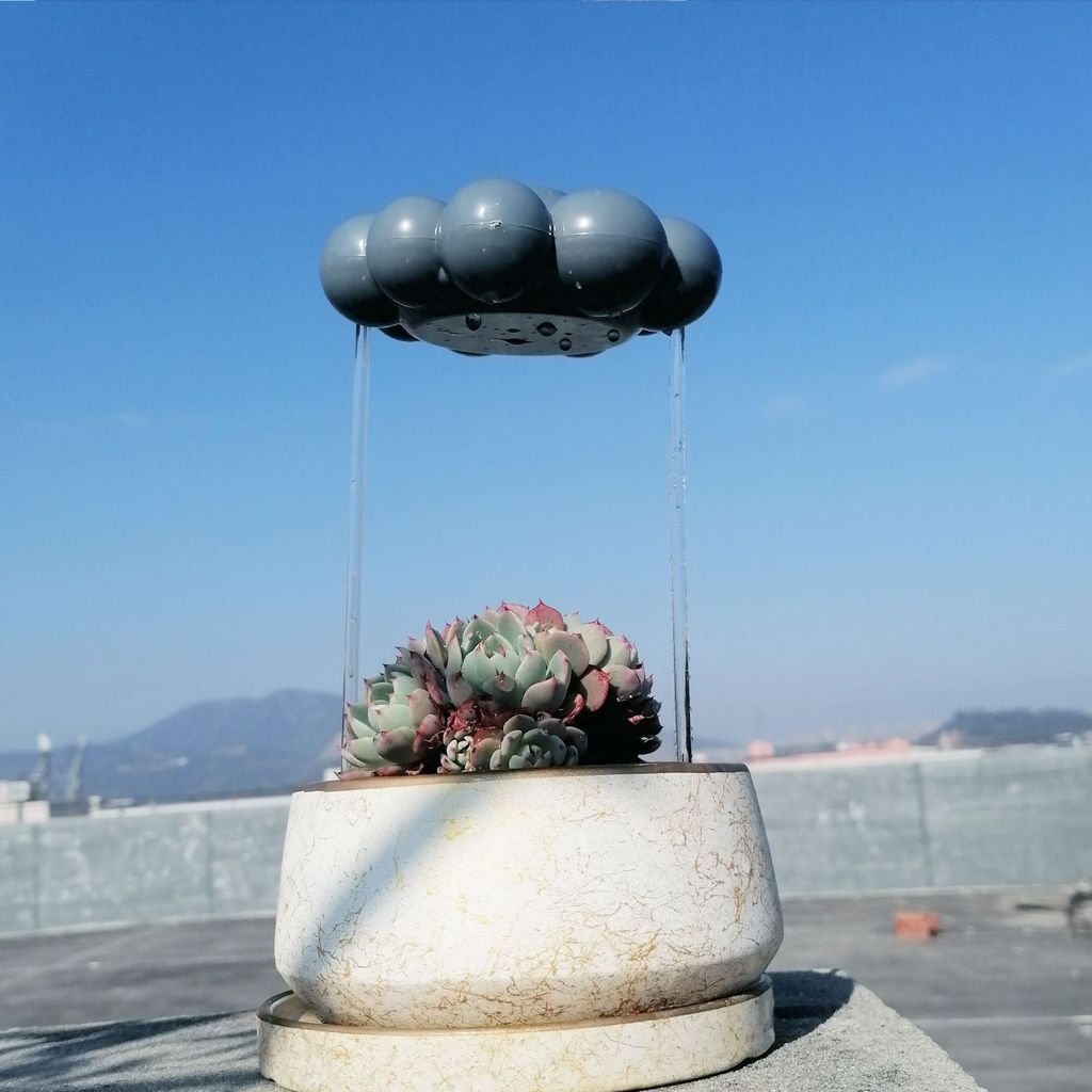Sân Cây Trang Trí Sân Vườn Trang Trí Cây Tưới Cây Mưa Mây PlantWaterRainCloud12.17