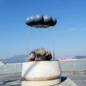 Sân Cây Trang Trí Sân Vườn Trang Trí Cây Tưới Cây Mưa Mây PlantWaterRainCloud12.17
