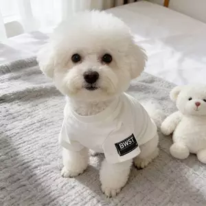 【Ready Stock】 Fashion Brand Sweater Spring and Autumn Puppy Color Matching Cute Light Sky Korean Super Small Pet Cat Mi Net Red Bichon Medium and Small FT05