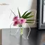 TRTR Trong Suốt Bướm Acrylic Bình Hoa Ba Chiều Cắm Hoa Phụ Kiện Bình Bướm Trang Trí Nhà Cửa VN