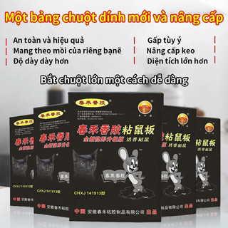 🐀Chuột không thoát🌈Keo Dính Chuột Siêu Dính-miếng dán chuột siêu dính-bẫy dính chuột siêu chắ-To và dày Chứa mồi