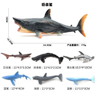 Phong Cách Mới Mô Phỏng Động Vật Biển Mô Hình Cá Mập Cá Mập Trắng Cá Voi Đồ Trang Trí Trẻ Em Khoa Học Giáo Dục Nhận Thức Quà Tặng