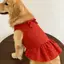 【Ready Stock】 Pet Dog Clothes Red Background and Polka Dots Bowknot Super Cute Sweet Vest Dress Golden Retriever Samoyed Spring and Summer Large Dog usDx
