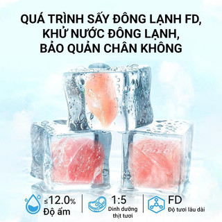 Hạt mix topping cho mèo Dong Pet dành cho mèo kén ăn 2.5kg