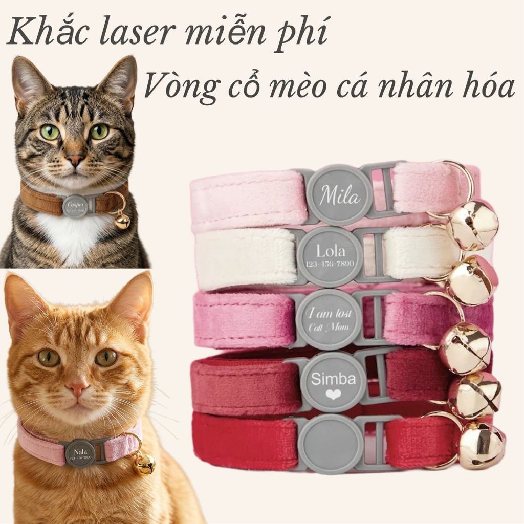 Bộ dây buộc nơ cổ mèo được cá nhân hóa, Vòng cổ mèo an toàn, Vòng cổ mèo nhung, Vòng cổ mèo tùy chỉnh có khắc tên, Thẻ tên thú cưng khắc