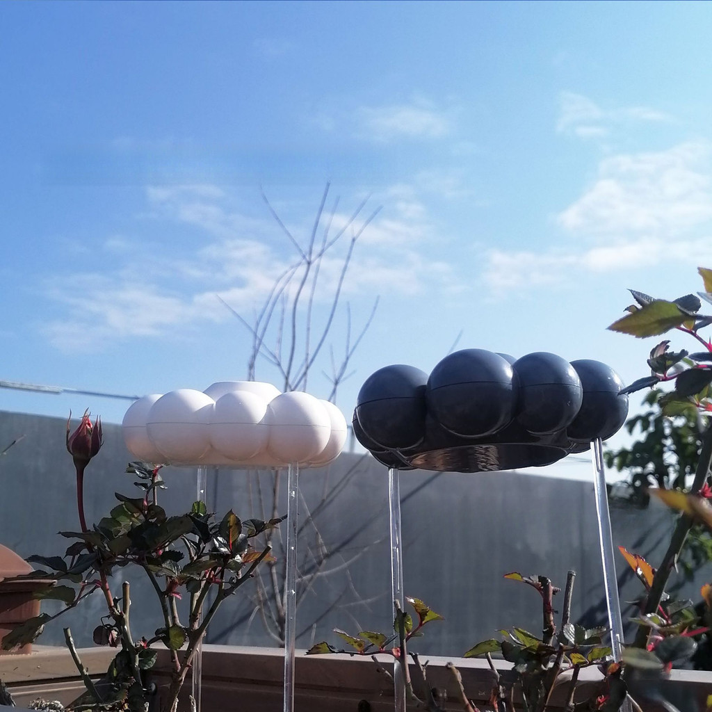 Sân Cây Trang Trí Sân Vườn Trang Trí Cây Tưới Cây Mưa Mây PlantWaterRainCloud12.17