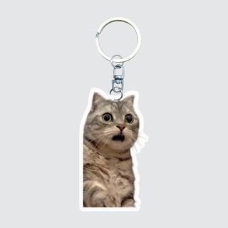 Gilan Móc Chìa Khóa Móc Chìa Khóa Mèo vui nhộn Meme Silly Cat V2 phụ kiện ví