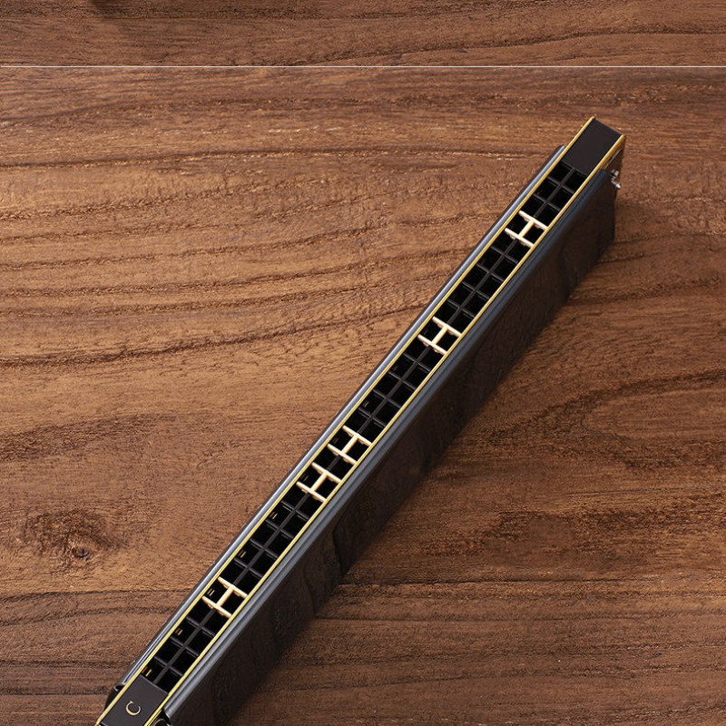 Kèn Harmonica 24 Lỗ – Tặng Hộp Và Khăn, Nhiều Màu Sắc, âm Thanh Hay, Hàng Có Sẵn, Dành Cho Người Mới Tập