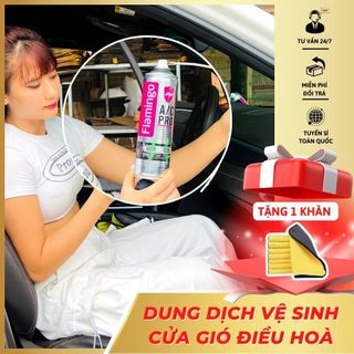 Chai vệ sinh điều hòa ô tô, xe tải dung tích 500ml có vòi xịt
