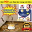 Dung dịch đuổi thằn lằn tắc kè an toàn không mùi Chiết xuất thảo dược،Không mùi،Diệt côn trùng،An toàn