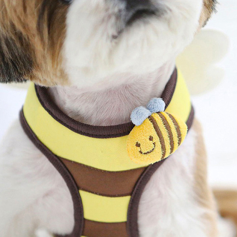 [Pet-Eleven] Hàn Quốc🇰🇷Little Bee Pet Dây đeo ngực Dây xích chó dễ thương Dây đeo ngực thú cưng Dây đeo ngực mèo Dây đeo ngực cho chó Dây xích mèo Dây đeo ngực thoáng khí Dây xích đi chơi Dây xích mèo / Chó nhỏ / Pomeranian Teddy Schnauzer