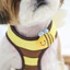 Hàn Quốc🇰🇷Little Bee Pet Dây đeo ngực Dây xích chó dễ thương Dây đeo ngực thú cưng Dây đeo ngực mèo Dây đeo ngực cho chó Dây xích mèo Dây đeo ngực thoáng khí Dây xích đi chơi Dây xích mèo / Chó nhỏ / Pomeranian Teddy Schnauzer