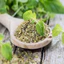 Lá Kinh Giới McCormick Oregano Leaves Lọ 10g, Gia Vị Nấu Ăn Hương Thơm Đậm Giữ Lâu Khi Nấu