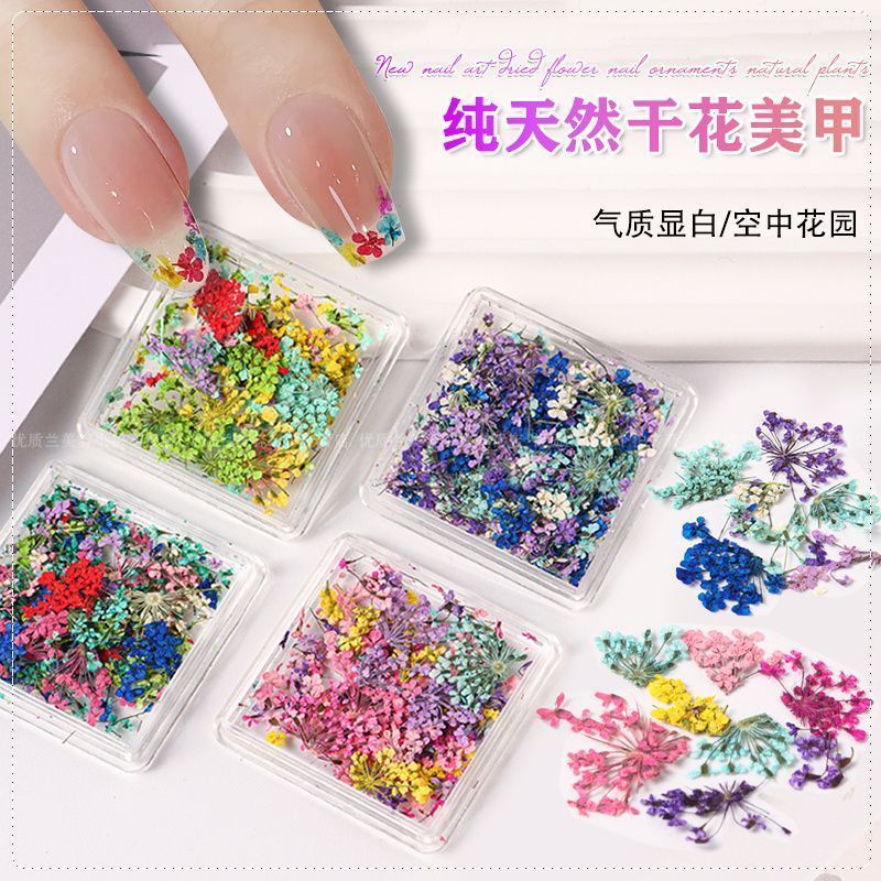 Nhật Bản Pháp Hoa Khô Phụ Kiện Làm Móng Tay Đầy Màu Sắc Nguyên Chất Tự Nhiên Hoa Nhỏ Cánh Hoa Khô Móng Tay