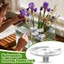 DONOVANQQ 10 Chiếc Bình Hoa Nổi Trong Suốt, Tròn Giữ Hoa Tươi Thủy Canh Giá Đỡ, Nhựa Hiện Đại Trong Suốt Nghệ Thuật Nước Nổi Hoa Trang Trí Nhà