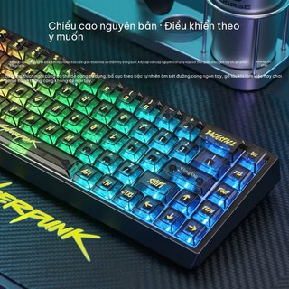 [Ship nhanh] Bộ Keycap Cyberpunk Trong Suốt ,Carbon - 136 Phím - Profile Cherry - Nhựa PC-Xuyên LED - CooBeStore