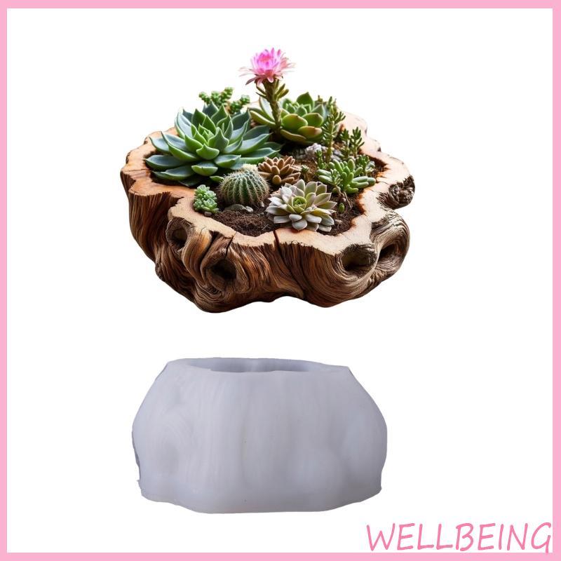 Khuôn Trồng Cây Silicon Wellb - Tạo Hình Nhựa Nghệ Thuật