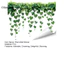 Olimpidd| Decal Dán Tường Hoa Hướng Dương Dán Tường Cây Xanh Lá Đề Can Dán Tường – Có Thể Tháo Rời Peel Stick Treo Dán Tường Cây Nho Cho Trẻ Em Phòng Ngủ Tivi Nền Trang Trí Nhà Dễ Dàng