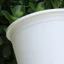 Nụ cười| Chậu hoa lâu trôi Pothos Chậu hoa có đĩa Chậu hoa thông gió có lỗ thoát nước cho hoa hồng Hoa lan Quả việt quất – Cây ngoài trời trong nhà bền bỉ cho Đông Nam