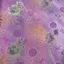 Song Jinxiao Vải Phong Cách Dân Tộc Retro Jacquard Quần Áo Bé Vải Đường Phù Hợp Với Sườn Xám Năm Mới Quần Áo Thơm Đầu 4.16