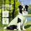 【Ready Stock】 Dog Clothes Cool Clothes Summer Outwear Sun Protection Cooling Pet Samoyed Border Collie Medium Large Dog Thin Vest S7Y3