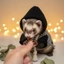 Top Ferrets Áo len Áo sơ mi và dây xích Bộ dây nịt cho mặc đi bộ thời tiết lạnh