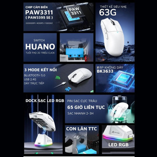 [Ship nhanh] Chuột Gaming Không Dây Bluetooth Attack Shark X11 Chip Khủng PAW3311 Pollingrate 1Khz - CooBeStore