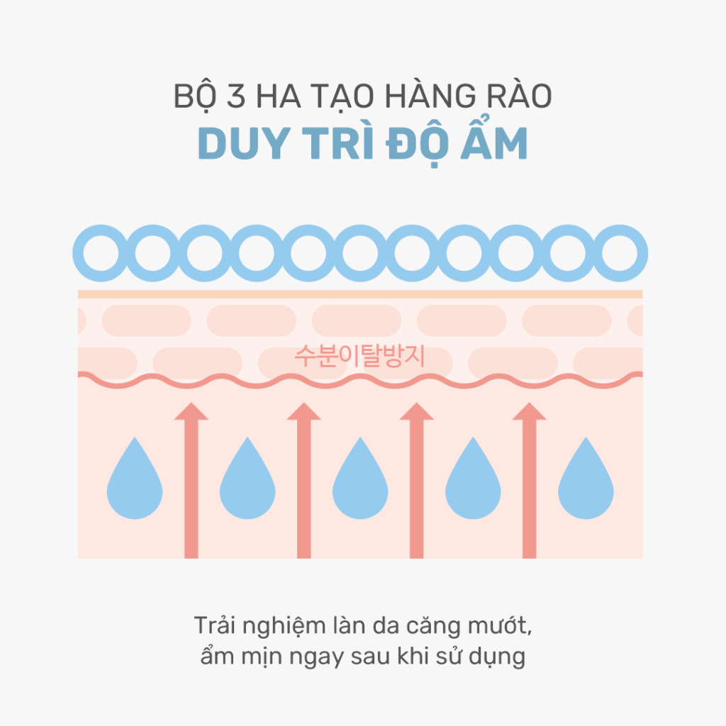 Sữa Rửa Mặt Round Lab 1025 Dokdo Cleanser 150ml tạo bọt mềm mịn dễ chịu