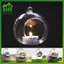 SWEET Treo Bình Thủy Tinh Hoa Cây Bàn Bình Đứng Terrarium Handmade n